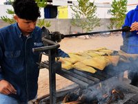 487313531 1075625351249249 9232003675454253 N