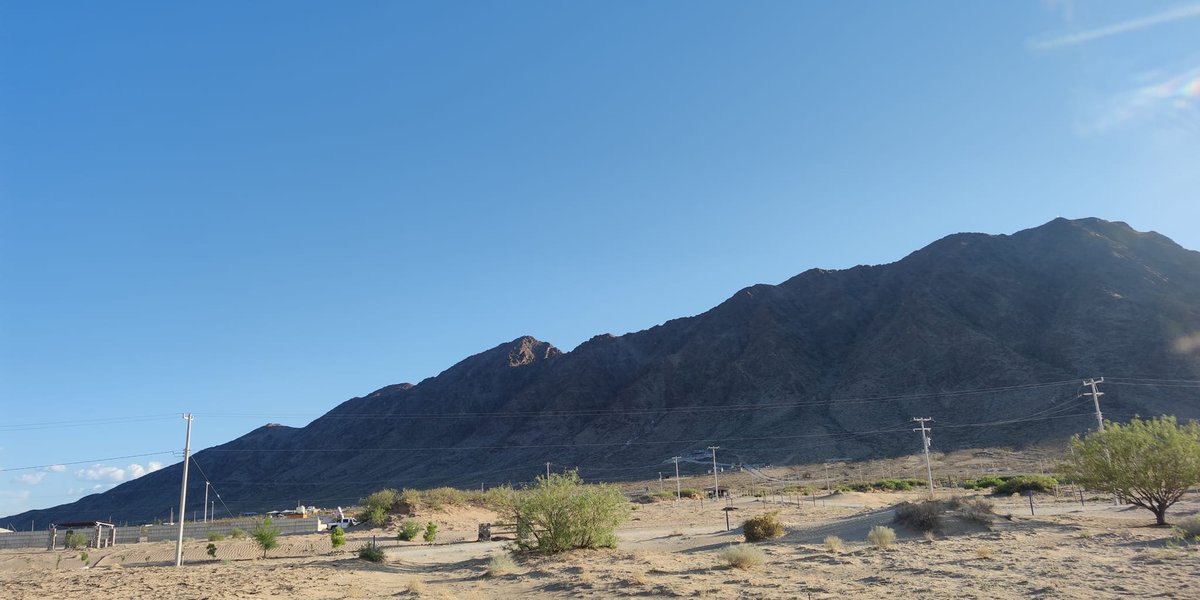 487377381 1075620064583111 855677078974611019 N