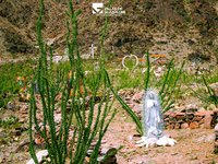 534068648 1186133250198458 3416310072788256280 N