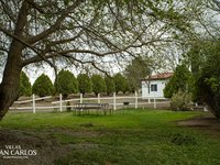 548175662 1209866561158460 3851344168244765046 N