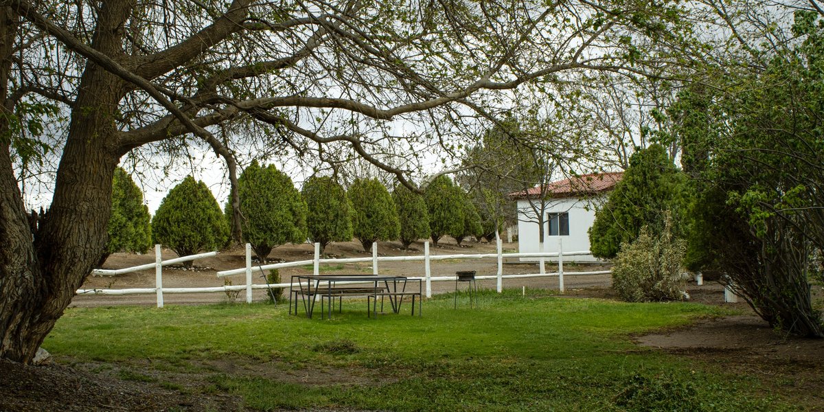 548175662 1209866561158460 3851344168244765046 N